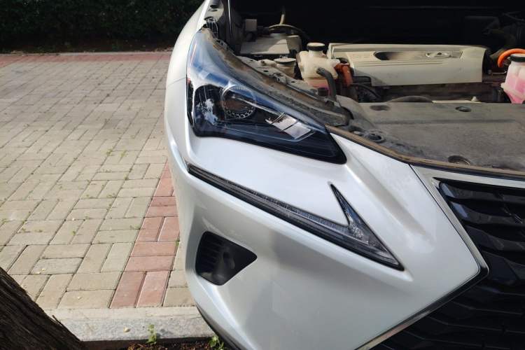 Used Lexus NX 2020 300h Front-Drive FENGSHANG Version China VI Standard Right Front Headlight