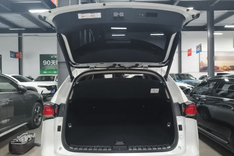Used Lexus NX 2020 200 All-Wheel Drive Fēngshàng Version China VI Standard Trunk