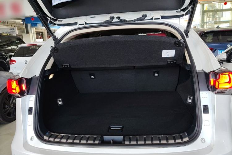 Used Lexus NX 2020 200 All-Wheel Drive Fēngshàng Version China VI Standard Trunk