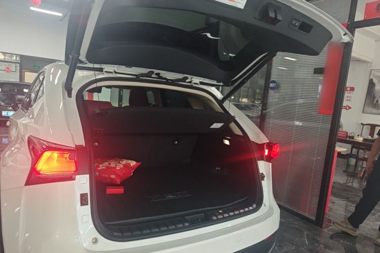 Used Lexus NX 2020 200 All-Wheel Drive Fēngshàng Version China VI Standard Trunk