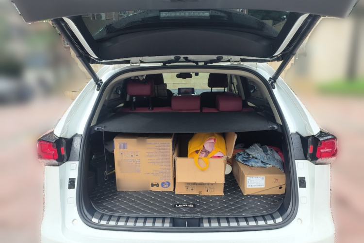 Used Lexus NX 2020 200 All-Wheel Drive Fēngshàng Version China V Standard Trunk