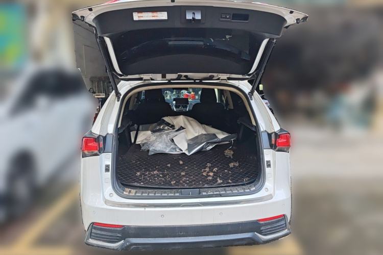 Used Lexus NX 2020 300h Front-Drive FENGSHANG Version China V Standard Trunk