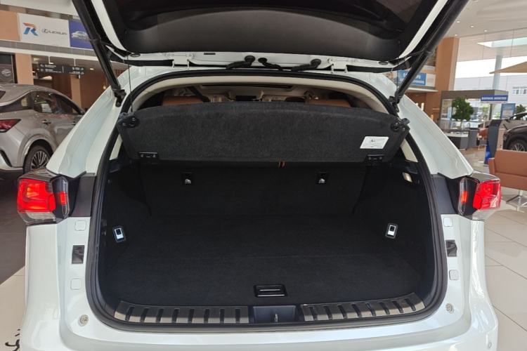 Used Lexus NX 2020 200 All-Wheel Drive Fēngshàng Version China VI Standard Trunk