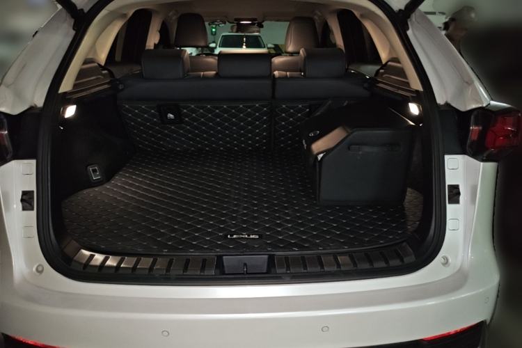 Used Lexus NX 2020 300h Front-Drive FENGSHANG Version China VI Standard Trunk