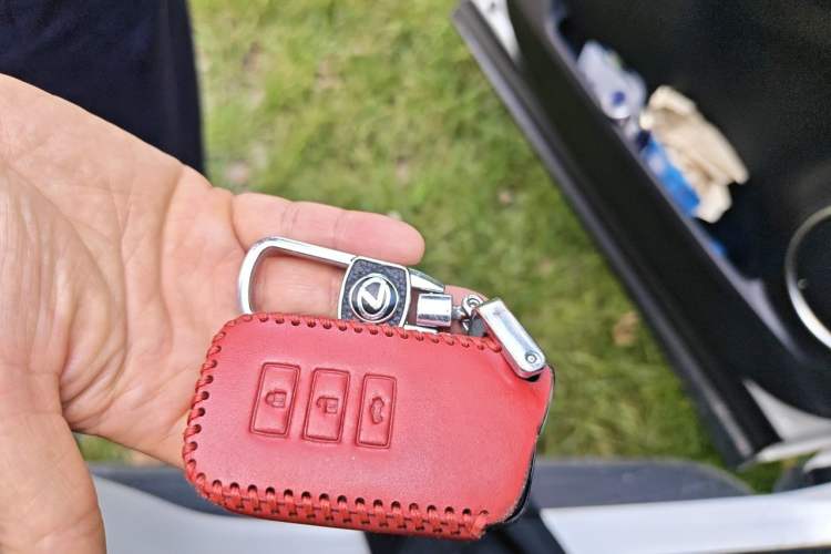 Used Lexus NX 2020 300h Front-Drive FENGSHANG Version China VI Standard Vehicle Key