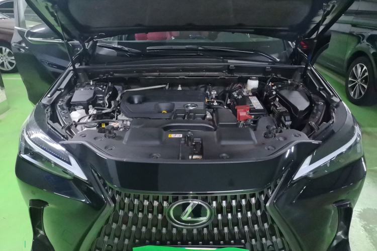Used Lexus NX 2022 260 Front-Wheel Drive Chuan Yue Edition Engine Bay