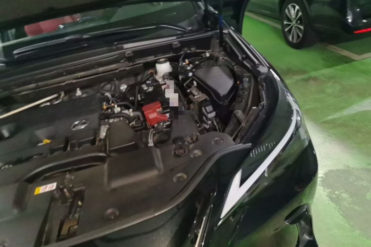 Used Lexus NX 2022 260 Front-Wheel Drive Chuan Yue Edition Engine Bay Left