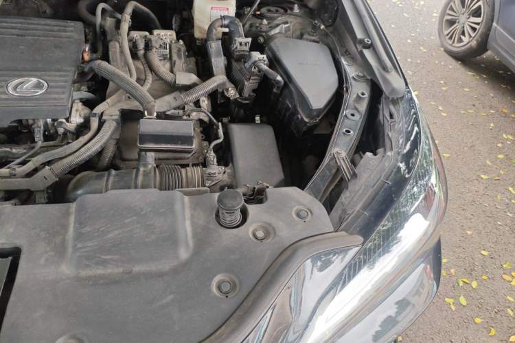 Used Lexus NX 2022 350h Front-Wheel-Drive Innovation Edition Engine Bay Left
