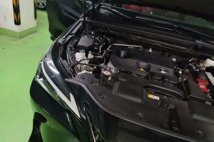 Used Lexus NX 2022 260 Front-Wheel Drive Chuan Yue Edition Engine Bay Right