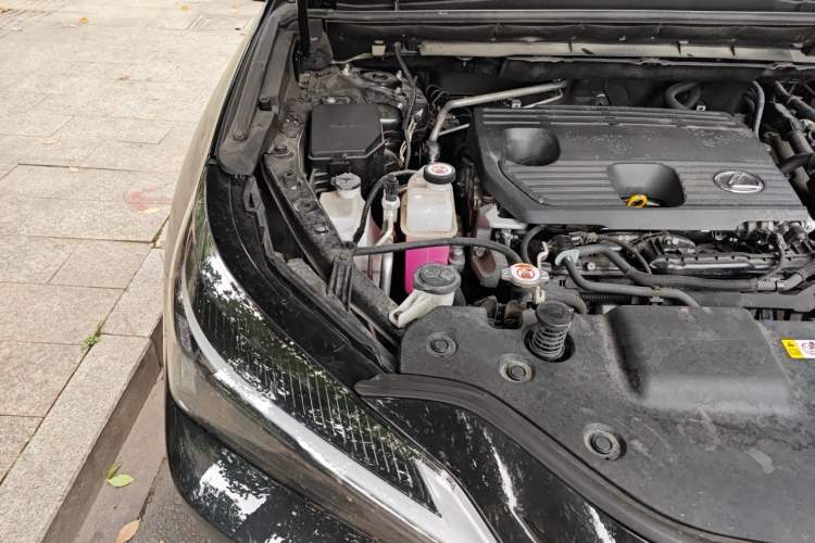 Used Lexus NX 2022 350h Front-Wheel-Drive Innovation Edition Engine Bay Right