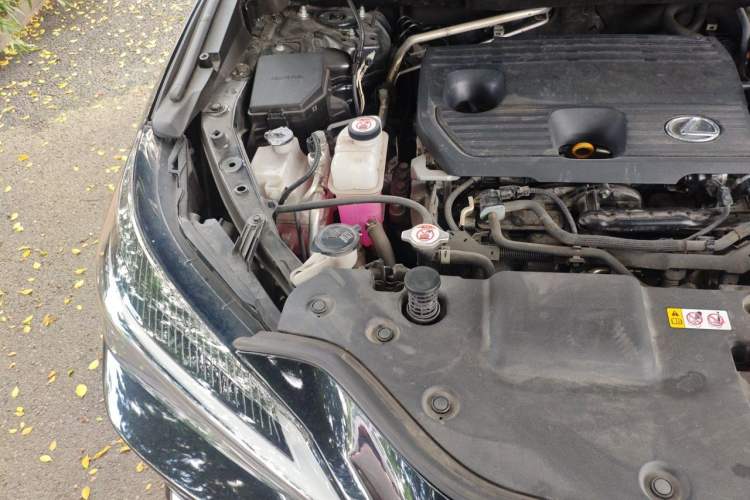 Used Lexus NX 2022 350h Front-Wheel-Drive Innovation Edition Engine Bay Right