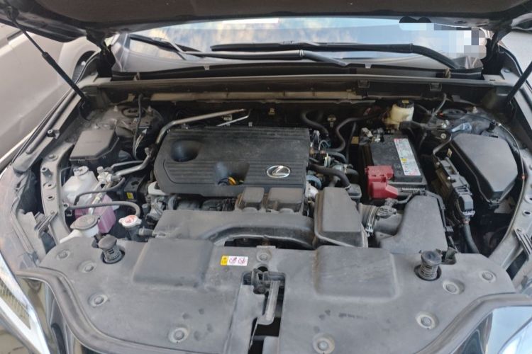 Used Lexus NX 2022 260 Front-Wheel Drive Chuan Yue Edition Engine Bay