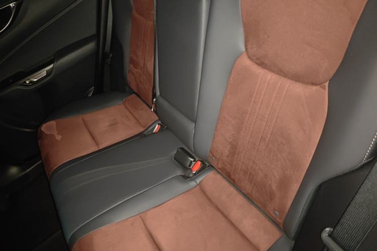 Used Lexus NX 2022 260 Front-Wheel Drive Chuanchi Edition Left Rear Seat