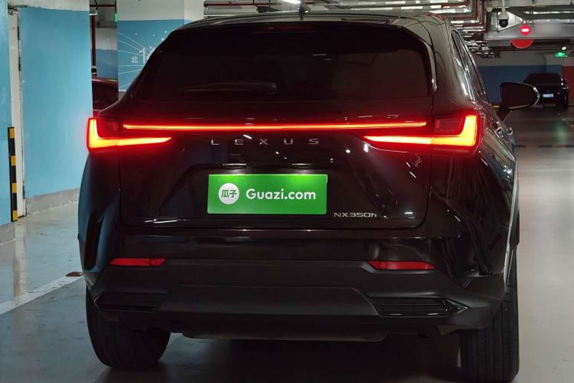 Used Lexus NX 2022 350h Front-Wheel-Drive Innovation Edition Rear