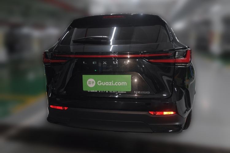Used Lexus NX 2022 260 Front-Wheel Drive Chuanchi Edition Rear