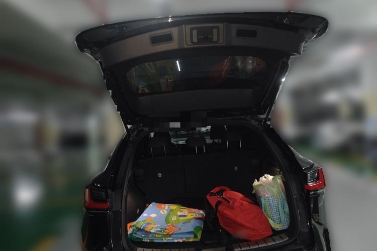 Used Lexus NX 2022 260 Front-Wheel Drive Chuanchi Edition Trunk
