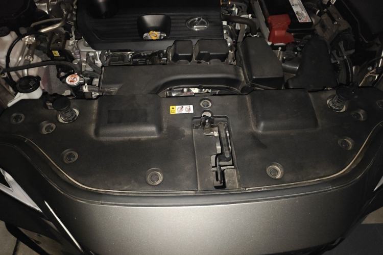 Used Lexus NX 2022 260 Front-Wheel Drive Chuan Yue Edition Engine Bay