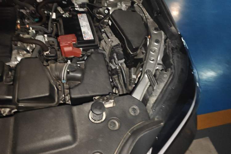Used Lexus NX 2022 260 Front-Wheel Drive Chuan Yue Edition Engine Bay Left
