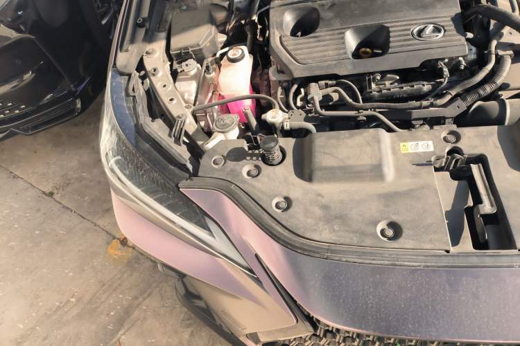 Used Lexus NX 2022 350h Front-Wheel-Drive Innovation Edition Engine Bay Right