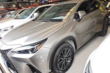 Used Lexus NX 2022 260 Front-Wheel Drive Chuanchi Edition