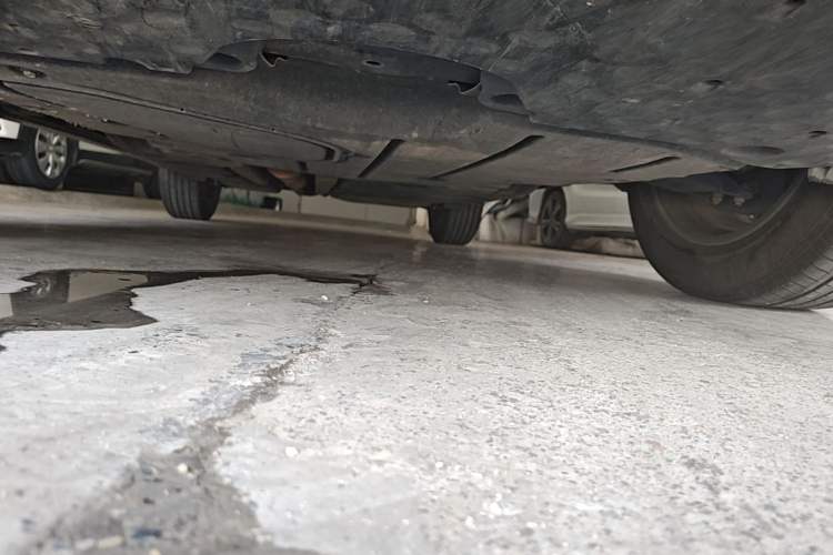Used Lexus NX 2022 260 Front-Wheel Drive Chuanchi Edition Chassis Front