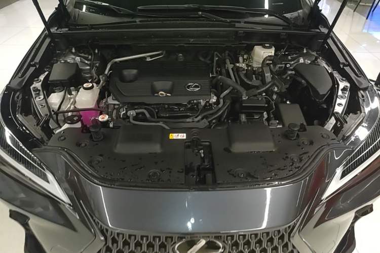 Used Lexus NX 2022 350h Front-Drive Enjoyment Edition Engine Bay
