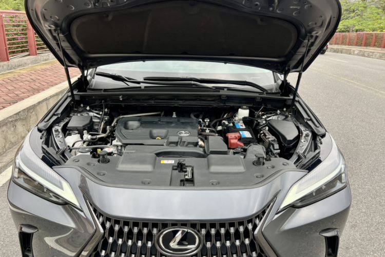 Used Lexus NX 2022 260 Front-Wheel Drive Chuan Yue Edition Engine Bay
