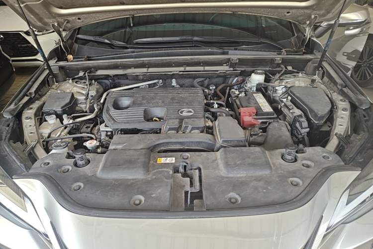 Used Lexus NX 2022 260 Front-Wheel Drive Chuanchi Edition Engine Bay