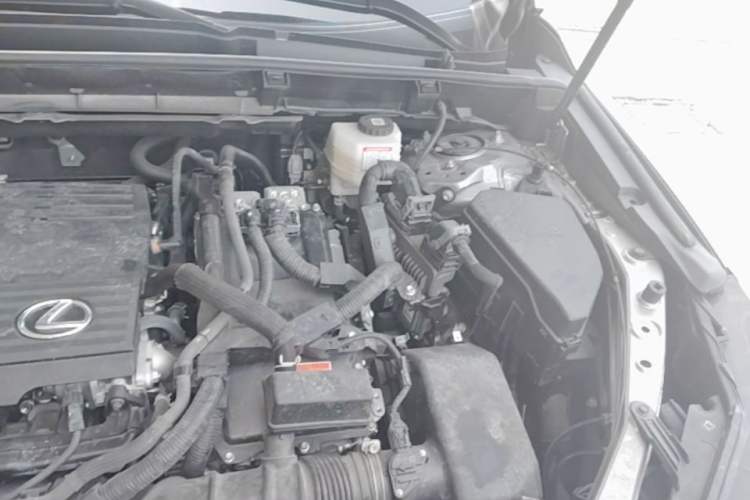 Used Lexus NX 2022 350h Front-Wheel-Drive Innovation Edition Engine Bay Left