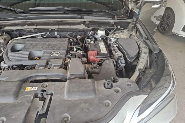 Used Lexus NX 2022 260 Front-Wheel Drive Chuanchi Edition Engine Bay Left