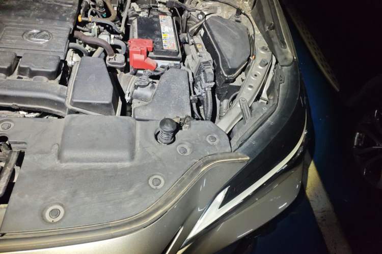 Used Lexus NX 2022 260 Front-Wheel Drive Chuanchi Edition Engine Bay Left