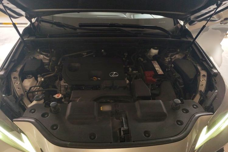 Used Lexus NX 2022 260 Front-Wheel Drive Chuanchi Edition Engine Bay