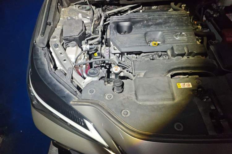 Used Lexus NX 2022 260 Front-Wheel Drive Chuanchi Edition Engine Bay Right