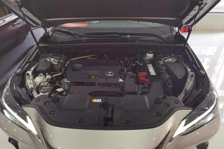 Used Lexus NX 2022 260 Front-Wheel Drive Chuan Yue Edition Engine Bay