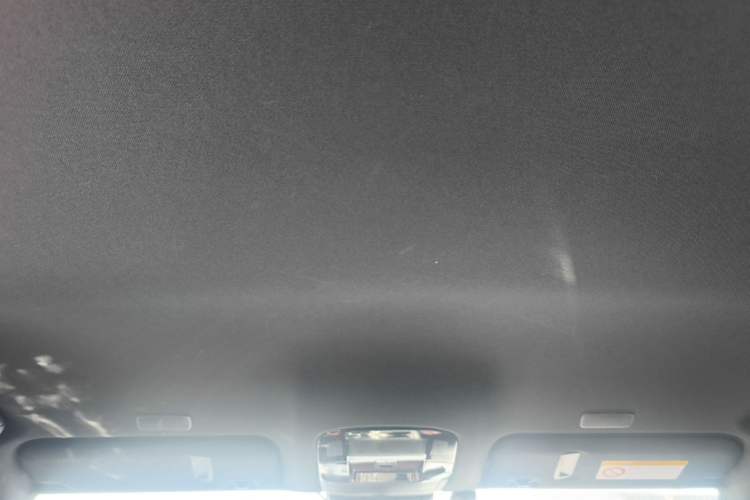 Used Lexus NX 2022 350h Front-Wheel Drive Xinchichi Edition Headliner