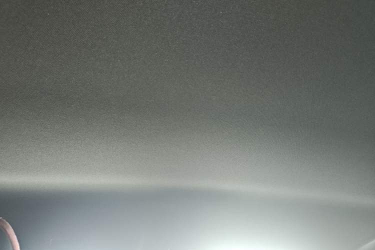 Used Lexus NX 2022 260 Front-Wheel Drive Chuanchi Edition Headliner