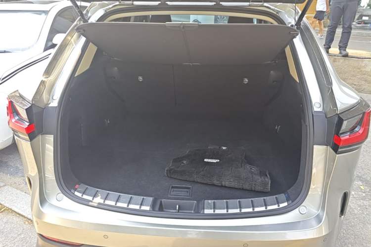 Used Lexus NX 2022 260 Front-Wheel Drive Chuanchi Edition Trunk