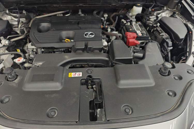 Used Lexus NX 2022 260 Front-Wheel Drive Chuan Yue Edition Engine Bay