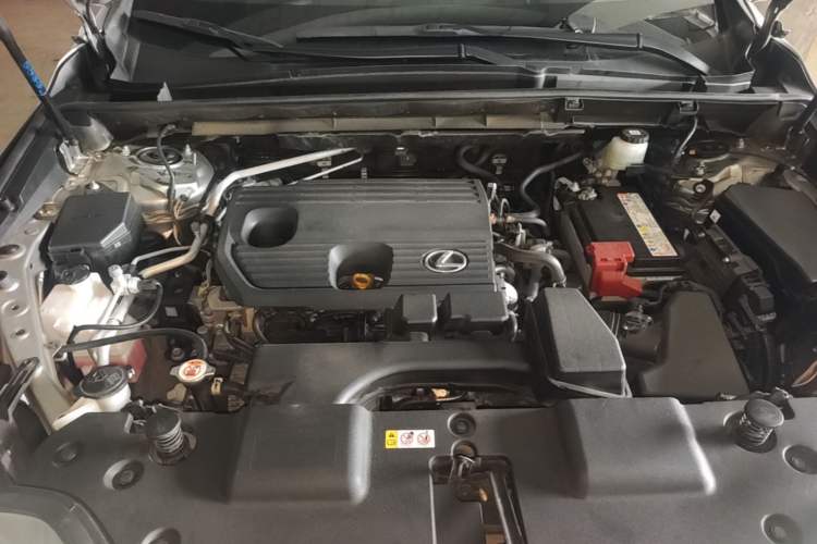 Used Lexus NX 2022 260 Front-Wheel Drive Chuan Yue Edition Engine Bay