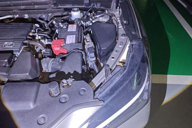 Used Lexus NX 2022 260 Front-Wheel Drive Chuanchi Edition Engine Bay Left