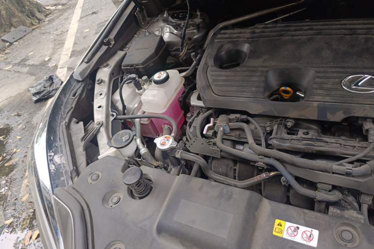 Used Lexus NX 2022 350h Front-Wheel-Drive Innovation Edition Engine Bay Right