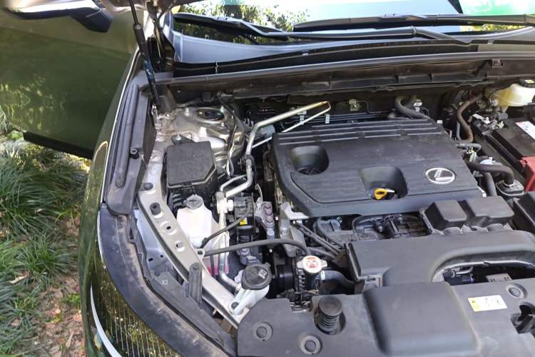Used Lexus NX 2022 260 Front-Wheel Drive Chuanchi Edition Engine Bay Right