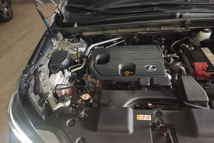 Used Lexus NX 2022 260 Front-Wheel Drive Chuan Yue Edition Engine Bay Right