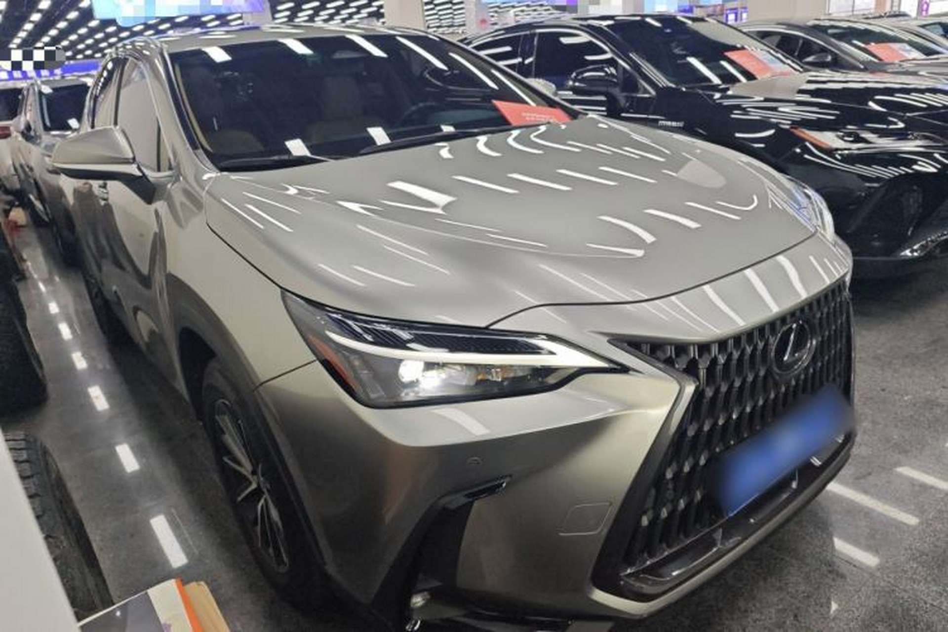 Used Lexus NX 2022 260 Front-Wheel Drive Chuan Yue Edition Exterior 1