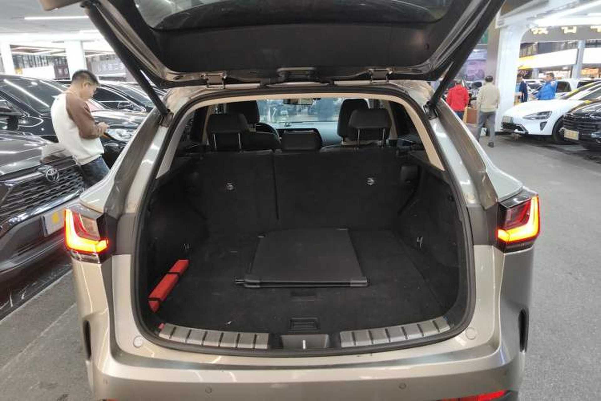 Used Lexus NX 2022 260 Front-Wheel Drive Chuanchi Edition Trunk