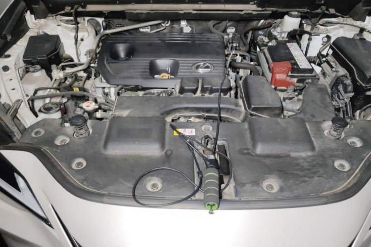 Used Lexus NX 2022 260 Front-Wheel Drive Chuan Yue Edition Engine Bay