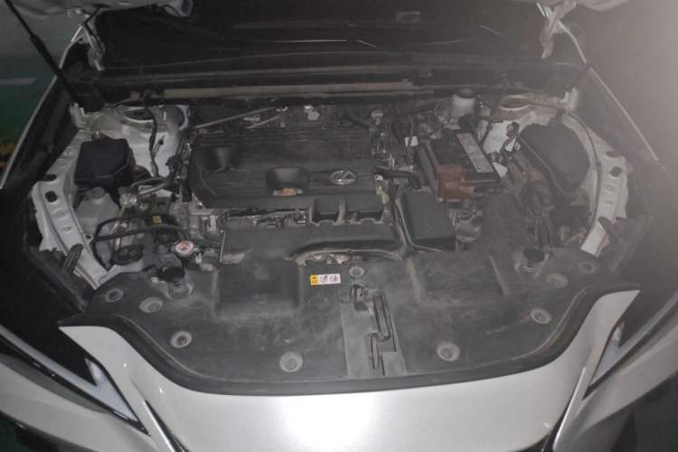 Used Lexus NX 2022 260 Front-Wheel Drive Chuan Yue Edition Engine Bay