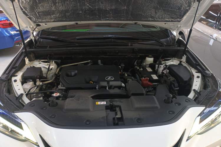 Used Lexus NX 2022 260 Front-Wheel Drive Chuan Yue Edition Engine Bay