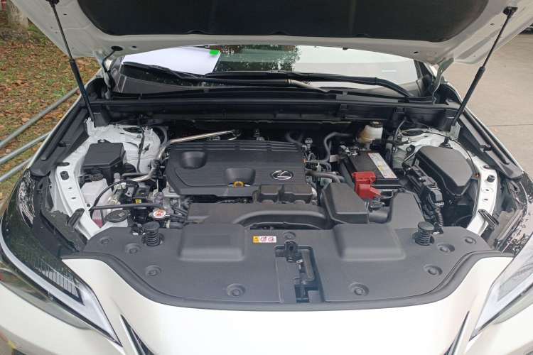 Used Lexus NX 2022 260 Front-Wheel Drive Chuanchi Edition Engine Bay