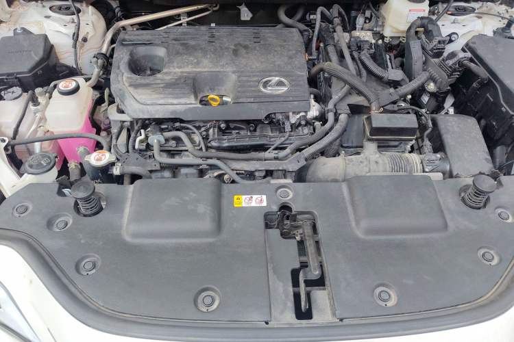 Used Lexus NX 2022 350h Front-Wheel-Drive Innovation Edition Engine Bay